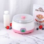 AP Yogurt Maker (Doi Maker) - Image 2
