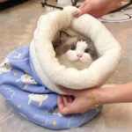Cat Sleeping Bag Sky