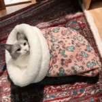 Cat Sleeping Bag Pink