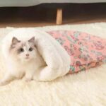 Cat Sleeping Bag Pink - Image 4